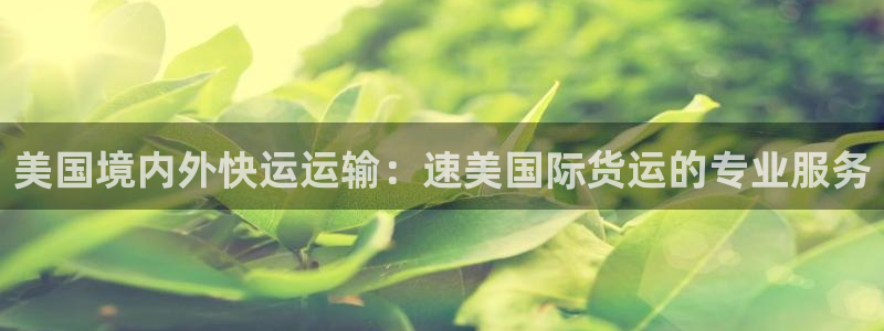 尊龙凯时登入首页：美国境内外快运运输：速美国际货运的专业