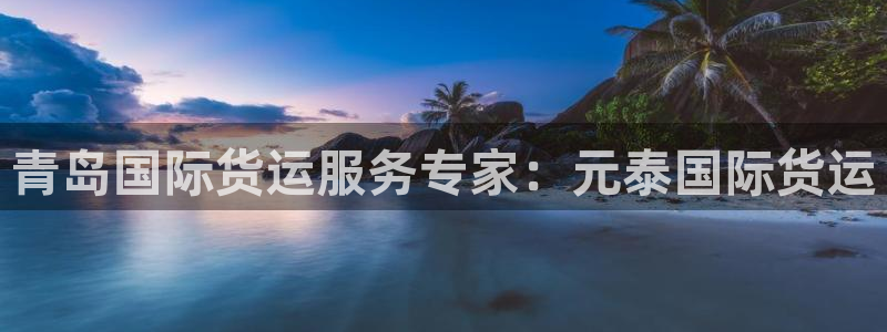 尊龙官网在哪里：青岛国际货运服务专家：元泰国际货运