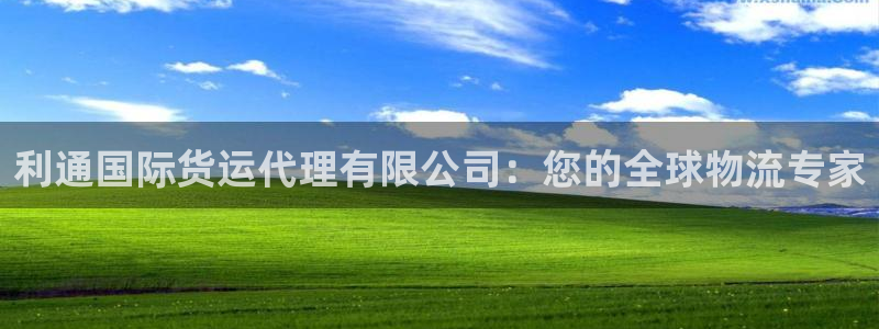 尊龙官方平台：利通国际货运代理有限公司：您的全球物流专家