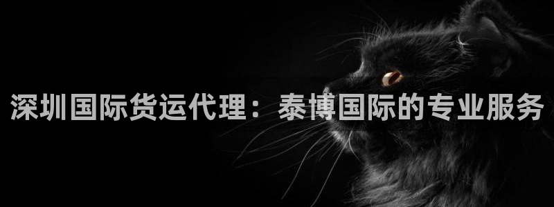 尊龙新版app首页：深圳国际货运代理：泰博国际的专业服务