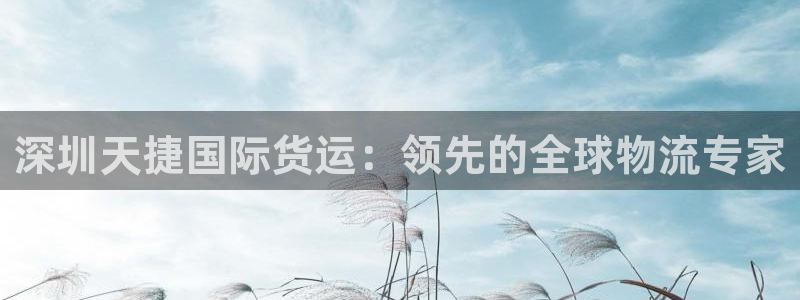 尊龙实业有限公司：深圳天捷国际货运：领先的全球物流专家
