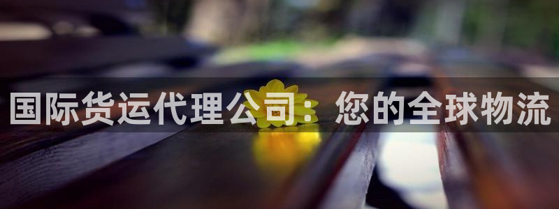 尊龙官网：国际货运代理公司：您的全球物流