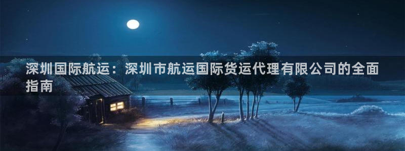 尊龙凯时官网登录入口：深圳国际航运：深圳市航运国际货运代