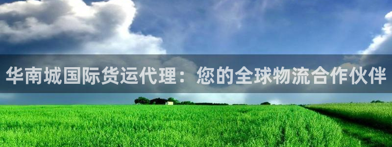 尊龙凯时怎么注销账号：华南城国际货运代理：您的全球物流合