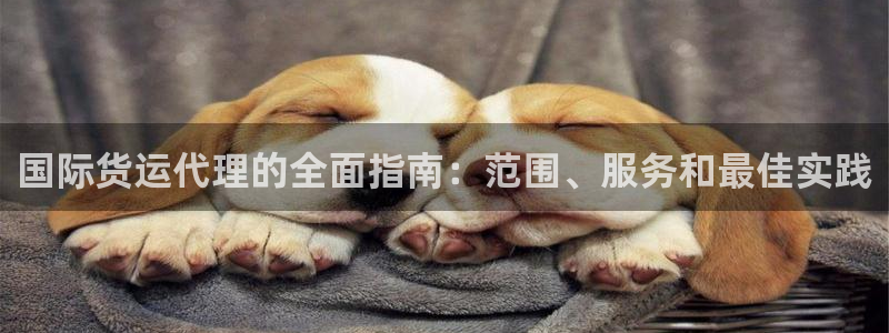 尊龙凯时始人生就是博：国际货运代理的全面指南：范围、服务