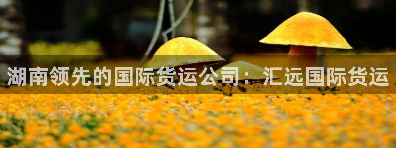 尊龙凯时平台怎么样：湖南领先的国际货运公司：汇远国际货运
