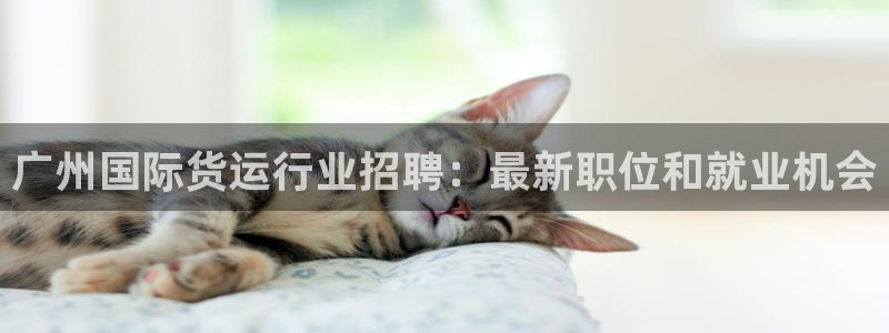 z6com尊龙凯时代理：广州国际货运行业招聘：最新职位和