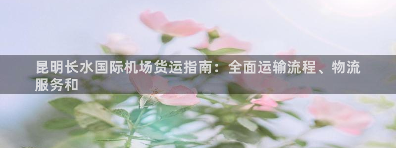 尊龙集团有限公司官网：昆明长水国际机场货运指南：全面运输
