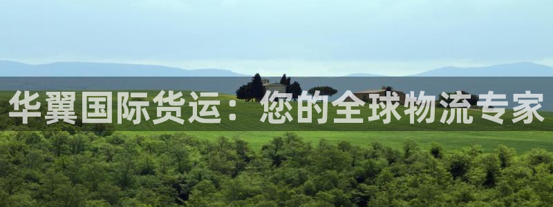 尊龙d88手机版下载：华翼国际货运：您的全球物流专家
