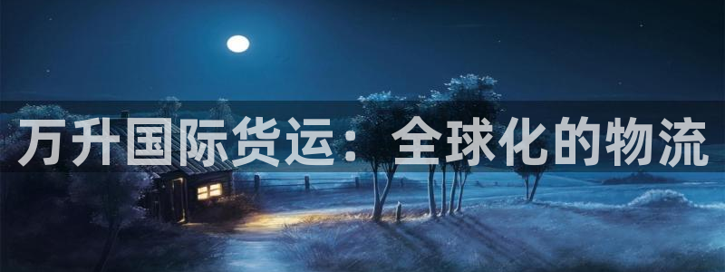 尊龙凯时d5138：万升国际货运：全球化的物流