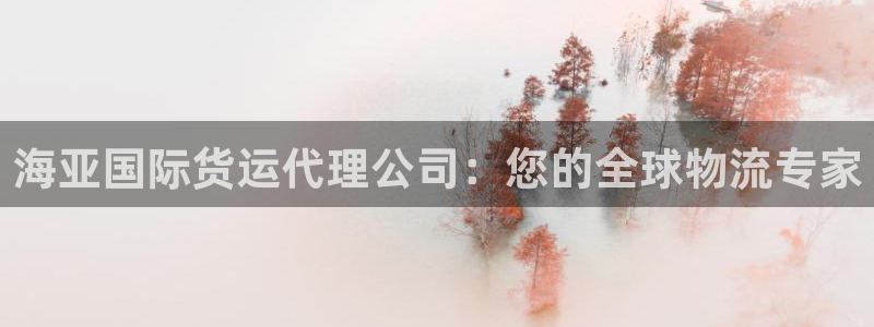 尊龙人生就是博用现金玩一下：海亚国际货运代理公司：您的全