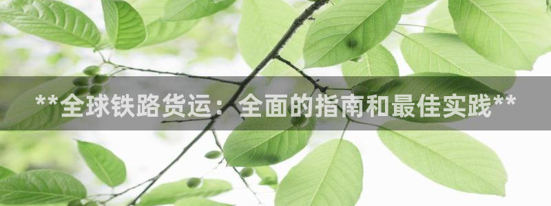 尊龙个人资料简介：**全球铁路货运：全面的指南和最佳实践