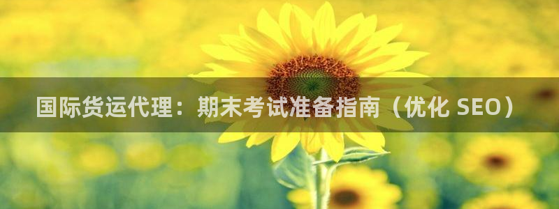 尊龙d88平台版下载：国际货运代理：期末考试准备指南（优