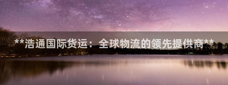 尊龙光学怎么样：**浩通国际货运：全球物流的领先提供商*