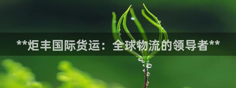 尊龙手机客户端app：**炬丰国际货运：全球物流的领导者