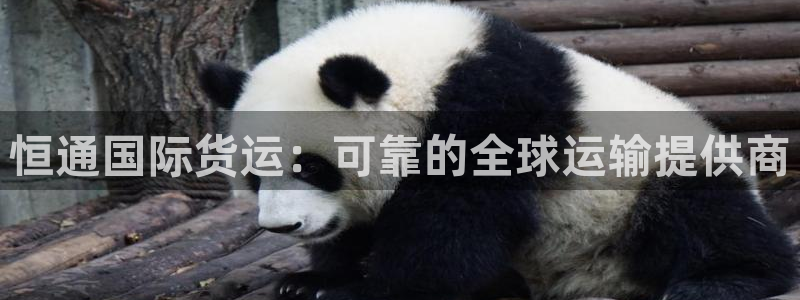 尊龙app最新版本官网：恒通国际货运：可靠的全球运输提供