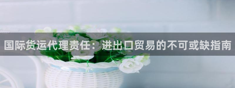 尊龙凯时城游戏官网：国际货运代理责任：进出口贸易的不可或