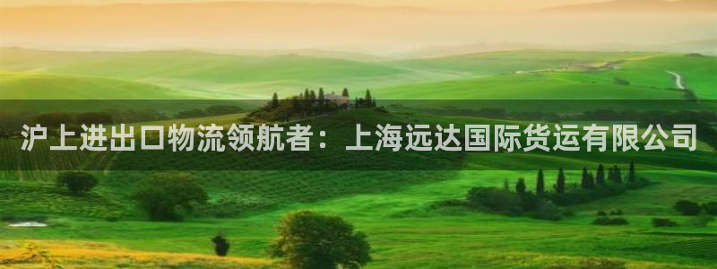 尊龙体育怎么样：沪上进出口物流领航者：上海远达国际货运有