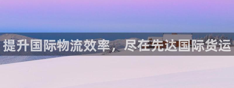 旧版尊龙人生就是博下载：提升国际物流效率，尽在先达国际货
