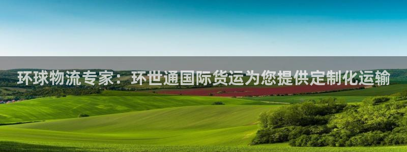 尊龙最新版：环球物流专家：环世通国际货运为您提供定制化运