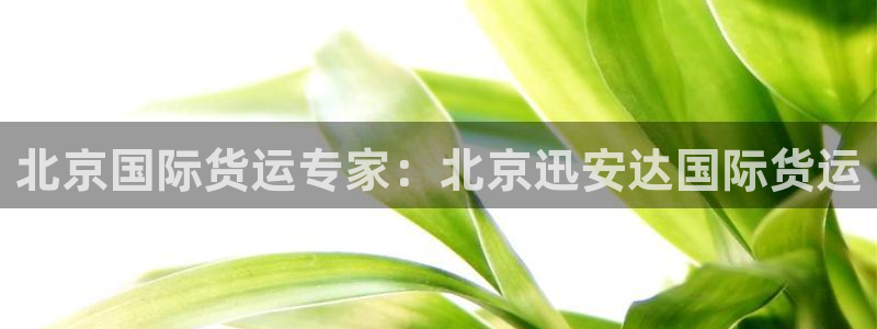 尊龙凯时ag旗舰厅官网客服：北京国际货运专家：北京迅安达
