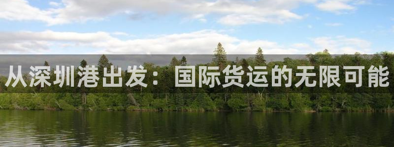 尊龙人生就是博客服：从深圳港出发：国际货运的无限可能