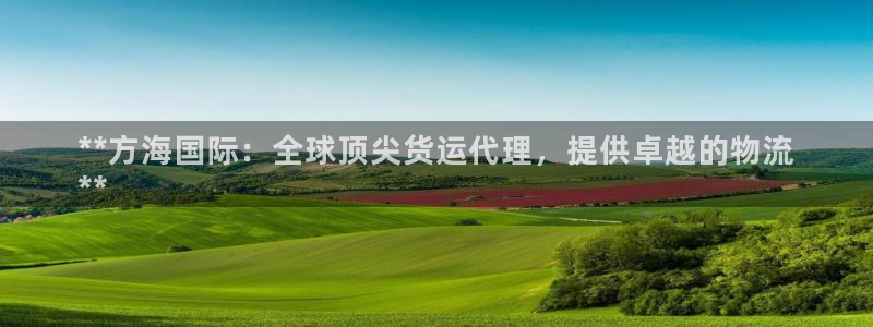 尊龙人生就是博旧：**方海国际：全球顶尖货运代理，提供卓