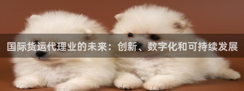 尊龙软件下载：国际货运代理业的未来：创新、数字化和可持续