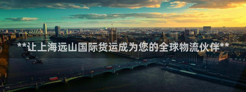 尊龙官方网站首页：**让上海远山国际货运成为您的全球物流