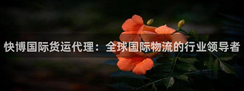 尊龙凯时官网正规吗：快博国际货运代理：全球国际物流的行业