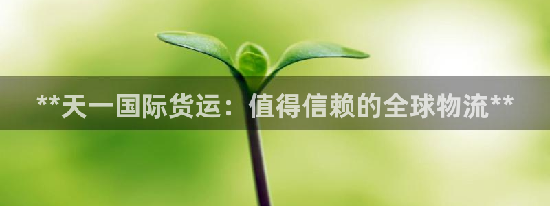 尊龙凯时推荐人：**天一国际货运：值得信赖的全球物流**