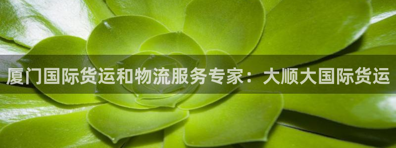 尊龙人品怎么样：厦门国际货运和物流服务专家：大顺大国际货