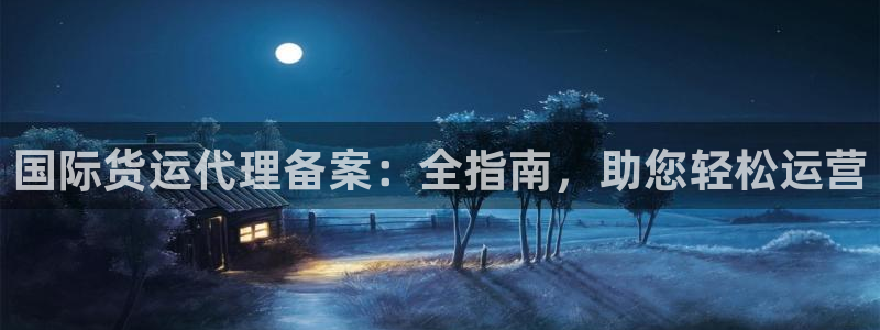 尊龙凯时官方网页：国际货运代理备案：全指南，助您轻松运营