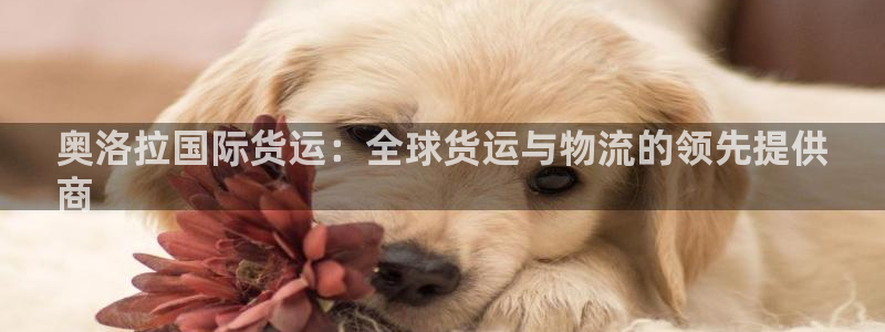 尊龙官方身高：奥洛拉国际货运：全球货运与物流的领先提供
