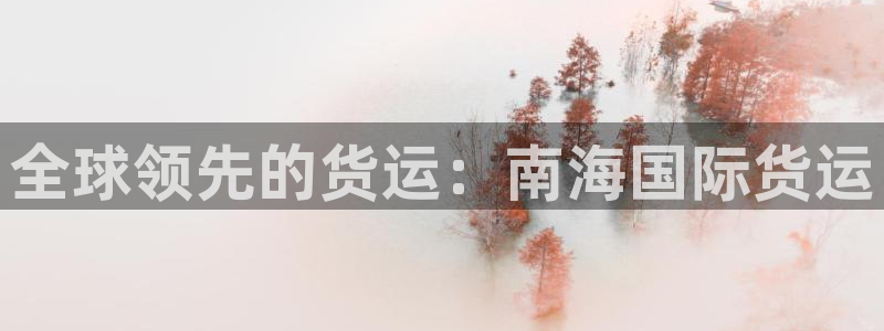 尊龙凯时充十万返现多少：全球领先的货运：南海国际货运