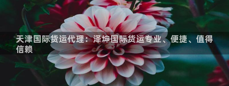 尊龙凯时 人生就是搏首页：天津国际货运代理：泽坤国际货运