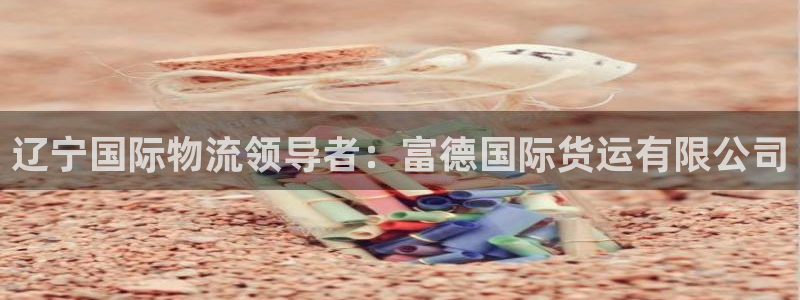 尊龙凯时官网网页版：辽宁国际物流领导者：富德国际货运有限