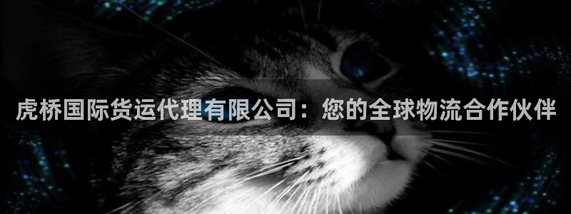 尊龙集团：虎桥国际货运代理有限公司：您的全球物流合作伙伴
