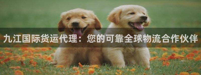 尊龙平台登录：九江国际货运代理：您的可靠全球物流合作伙伴