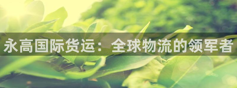 尊龙凯时ag旗舰厅登陆：永高国际货运：全球物流的领军者