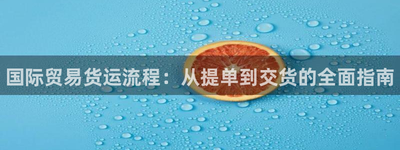尊龙凯时登陆：国际贸易货运流程：从提单到交货的全面指南