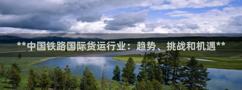 尊龙凯时人生就是博·(中国)：**中国铁路国际货运行业：