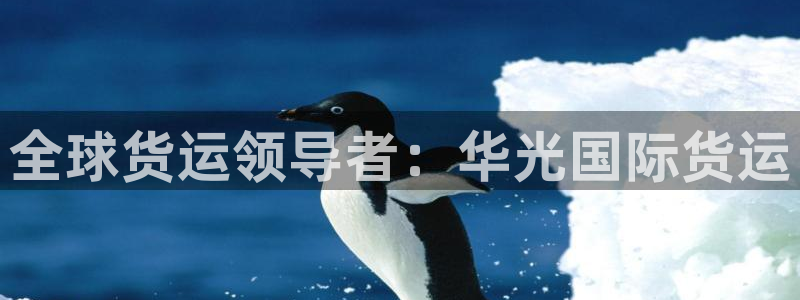 尊龙凯时ag旗舰厅官网客服：全球货运领导者：华光国际货运