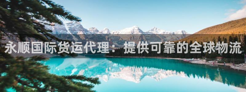 尊龙人生就是傅官网：永顺国际货运代理：提供可靠的全球物流