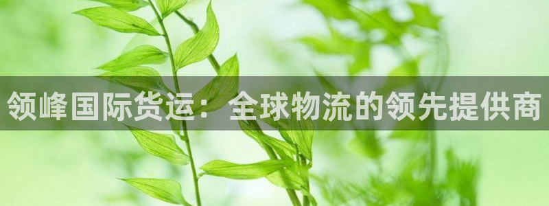 z6com尊龙凯时：领峰国际货运：全球物流的领先提供商