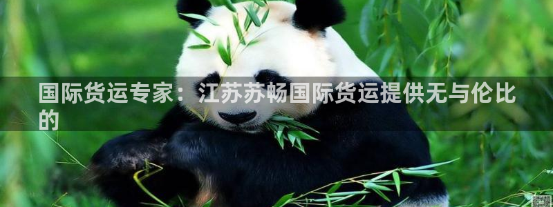 尊龙ag旗舰厅登录 租车app下载：国际货运专家：江苏苏