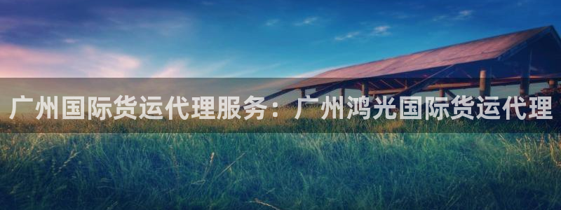 尊龙集团有限公司地址：广州国际货运代理服务：广州鸿光国际