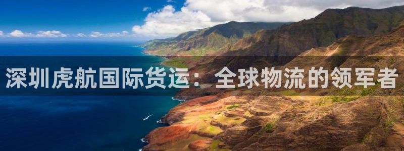 尊龙官方app下载：深圳虎航国际货运：全球物流的领军者