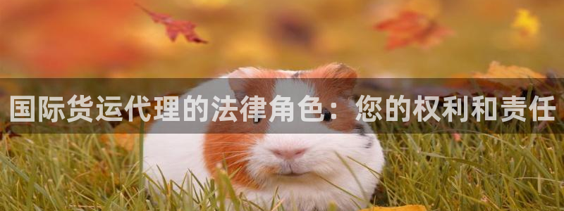 尊龙凯时几百万怎么下：国际货运代理的法律角色：您的权利和