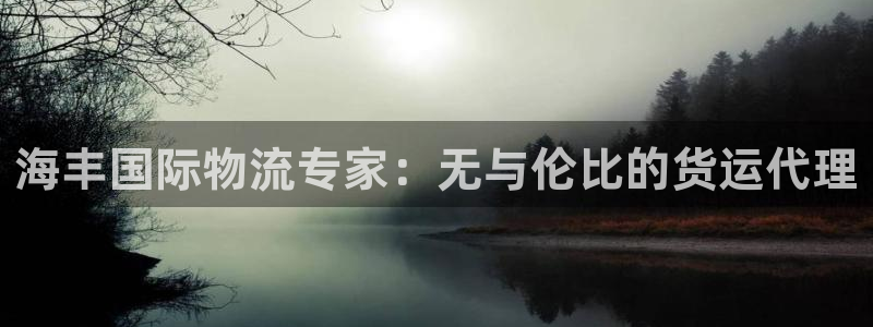 尊龙2016：海丰国际物流专家：无与伦比的货运代理
